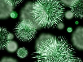 batteri patogeni nel corpo